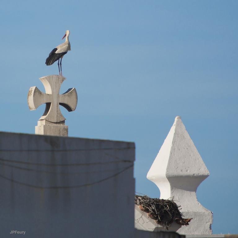 Entrecubos Guesthouse Olhao Luaran gambar