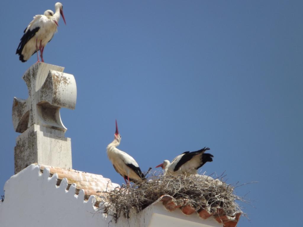 Entrecubos Guesthouse Olhao Luaran gambar